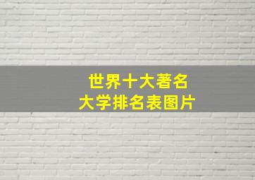 世界十大著名大学排名表图片