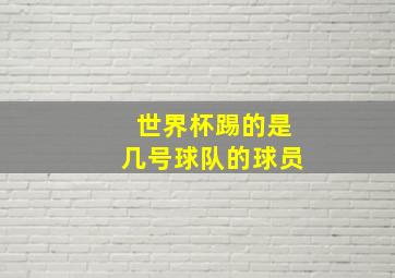 世界杯踢的是几号球队的球员