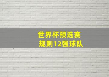 世界杯预选赛规则12强球队