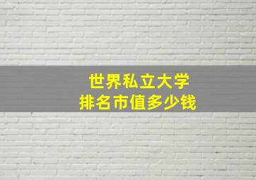 世界私立大学排名市值多少钱