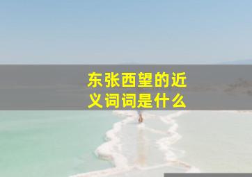 东张西望的近义词词是什么