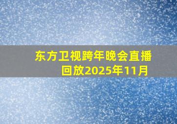 东方卫视跨年晚会直播回放2025年11月