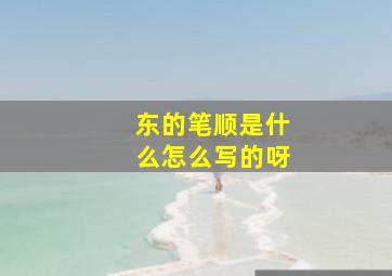 东的笔顺是什么怎么写的呀