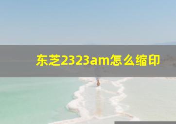 东芝2323am怎么缩印