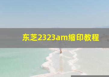 东芝2323am缩印教程