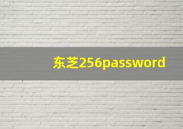 东芝256password