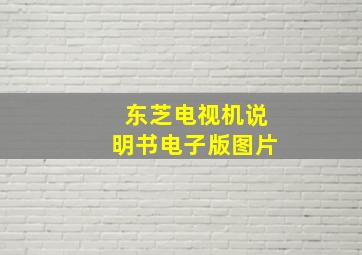 东芝电视机说明书电子版图片