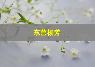 东营杨芳