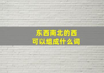 东西南北的西可以组成什么词