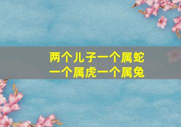 两个儿子一个属蛇一个属虎一个属兔