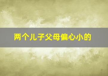 两个儿子父母偏心小的