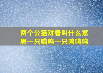 两个公猫对着叫什么意思一只喵呜一只呜呜呜