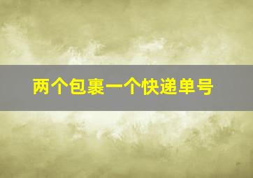 两个包裹一个快递单号