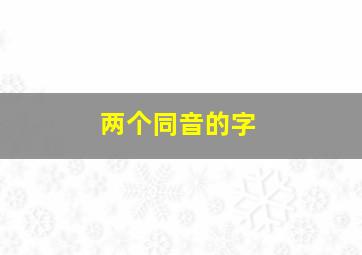 两个同音的字