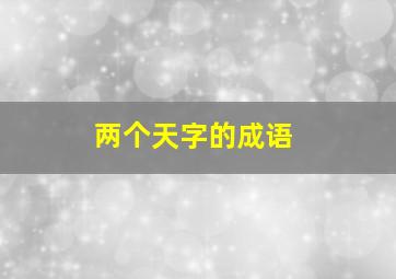 两个天字的成语