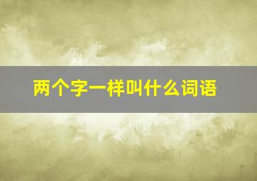 两个字一样叫什么词语