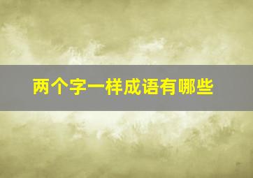 两个字一样成语有哪些