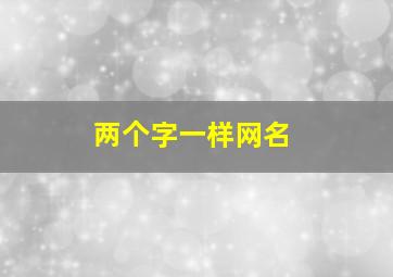 两个字一样网名