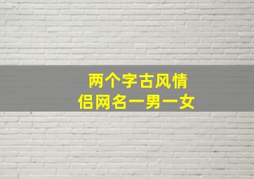 两个字古风情侣网名一男一女