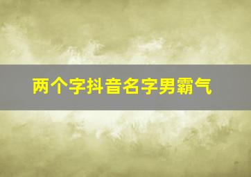 两个字抖音名字男霸气