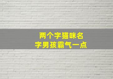 两个字猫咪名字男孩霸气一点