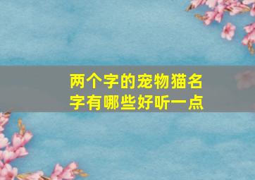 两个字的宠物猫名字有哪些好听一点