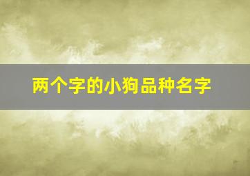 两个字的小狗品种名字