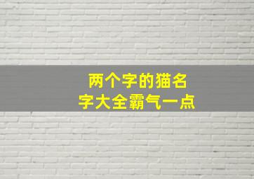 两个字的猫名字大全霸气一点