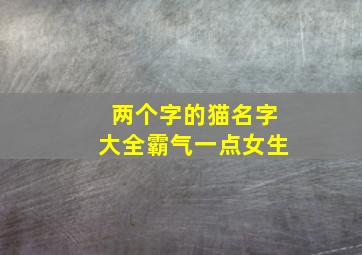 两个字的猫名字大全霸气一点女生