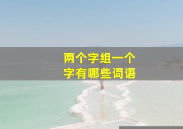 两个字组一个字有哪些词语