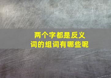 两个字都是反义词的组词有哪些呢