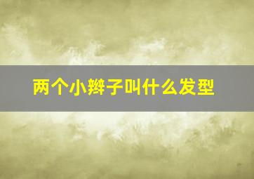 两个小辫子叫什么发型