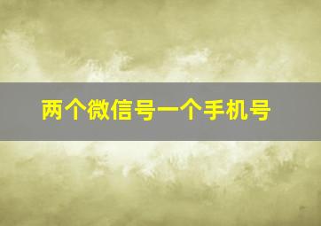 两个微信号一个手机号