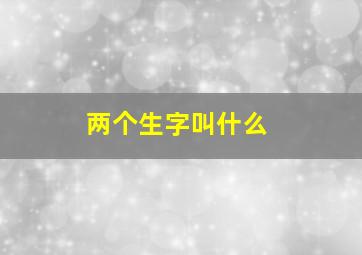 两个生字叫什么