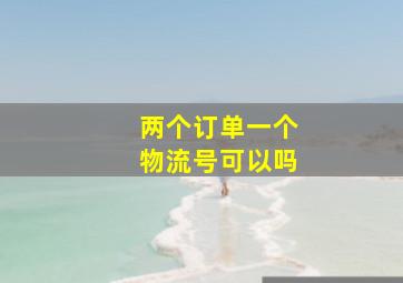 两个订单一个物流号可以吗