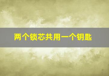 两个锁芯共用一个钥匙