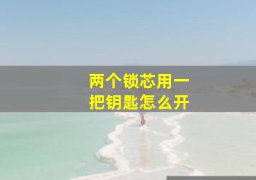 两个锁芯用一把钥匙怎么开