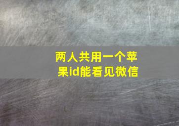 两人共用一个苹果id能看见微信