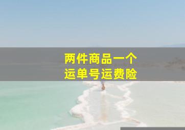 两件商品一个运单号运费险