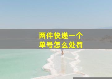 两件快递一个单号怎么处罚