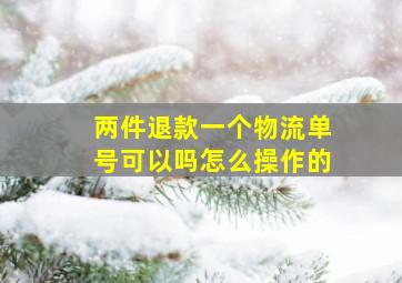 两件退款一个物流单号可以吗怎么操作的