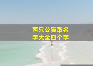 两只公猫取名字大全四个字