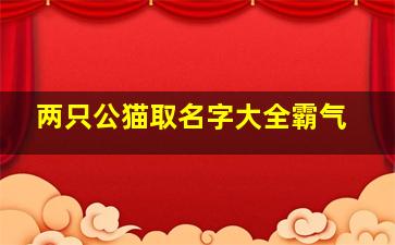 两只公猫取名字大全霸气