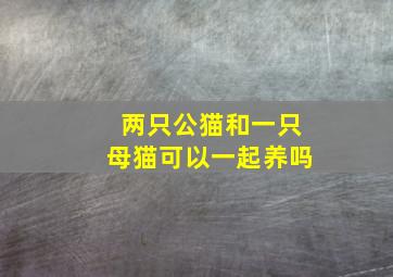 两只公猫和一只母猫可以一起养吗