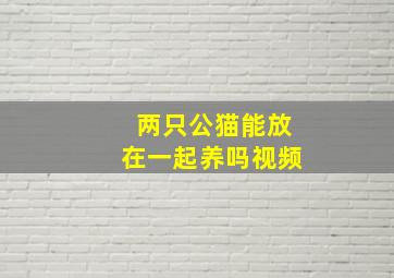 两只公猫能放在一起养吗视频