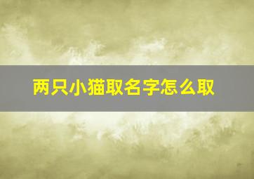 两只小猫取名字怎么取