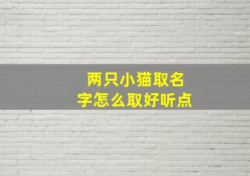 两只小猫取名字怎么取好听点