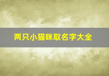 两只小猫咪取名字大全