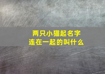 两只小猫起名字连在一起的叫什么