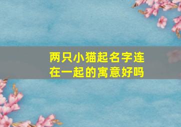 两只小猫起名字连在一起的寓意好吗